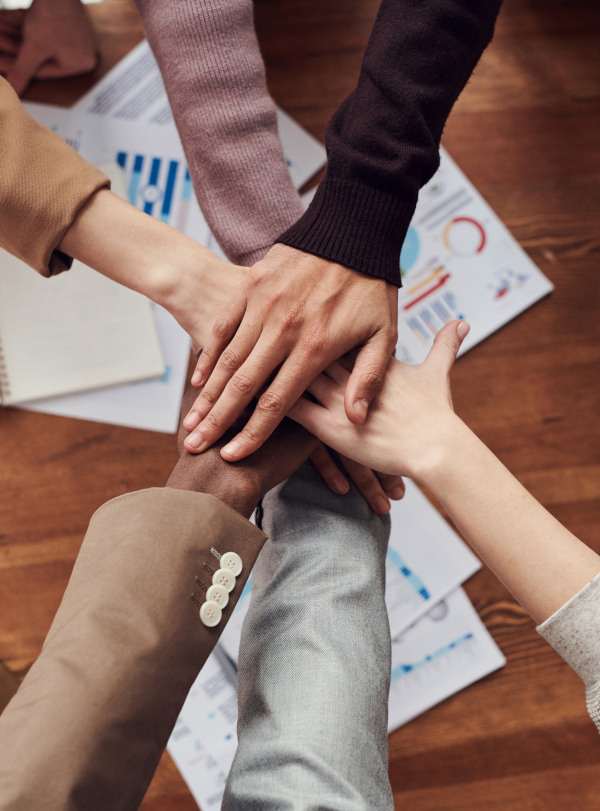 affiliate marketing program